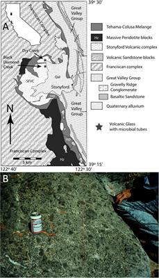 Titanite Mineralization of Microbial Bioalteration Textures in Jurassic Volcanic Glass, Coast Range Ophiolite, California